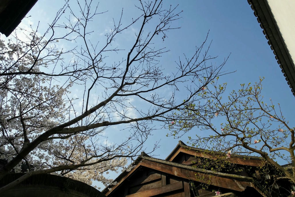 胡雪巖故居內的天空