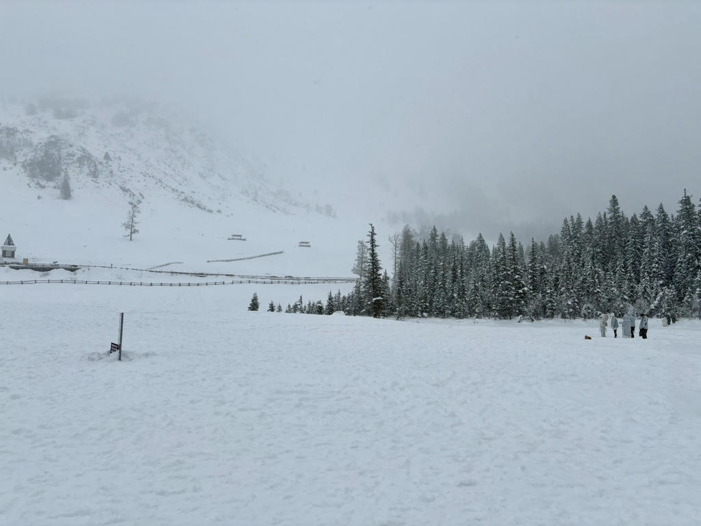 山和雪