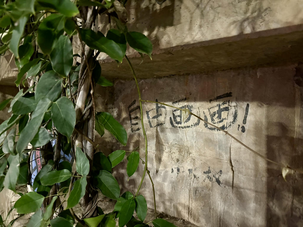 自由畫畫！
